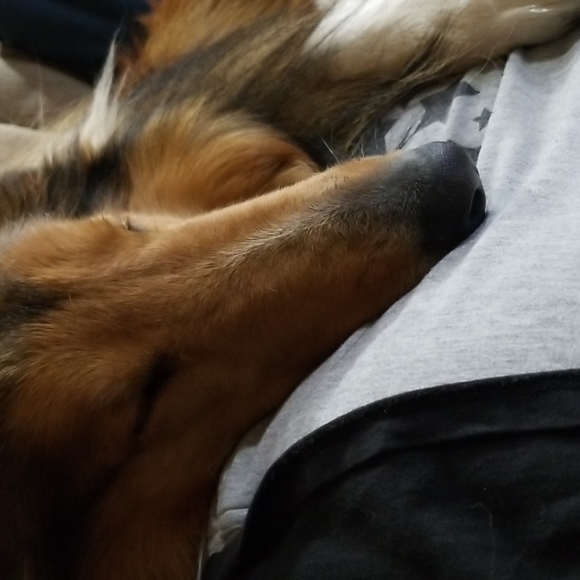 H&M euc / vguc "We are the future" 6-8 years - Picture 8 of 9